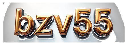 bzv55 logo